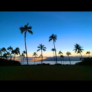 Meet your Posher, Ellen